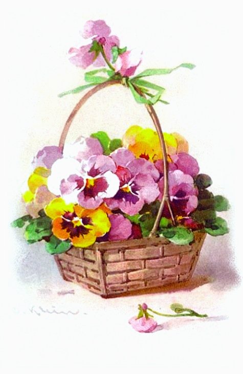 Flower-27